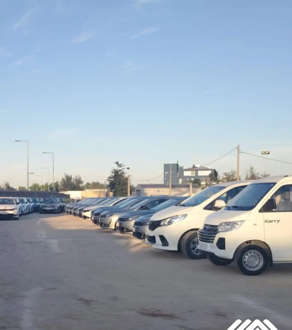 Vehículos blancos de la flota Tranvial estacionados en hilera al atardecer